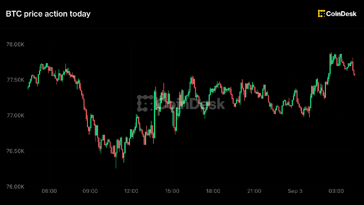 Bitcoin Reclaims $77,500 as XRP Leads Major Cryptos Higher Amid Fed Hike Odds Near 66%