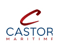 Castor Maritime crée une coentreprise avec des investisseurs réunis par Fearnley Securities et apporte le M/V Magic Starlight pour 18,75 millions de dollars