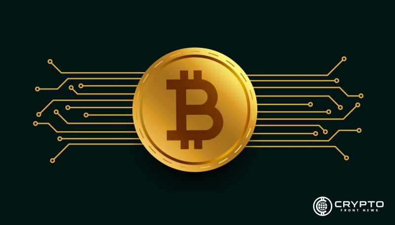 Объемы спот-торговли Bitcoin растут с июльских минимумов, но спрос остается слабым, говорит аналитик Darkfost
