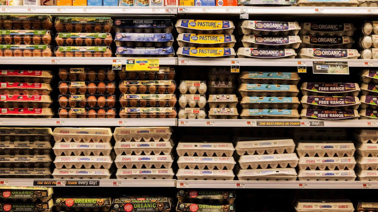 I repubblicani a rischio per le midterm mentre lo 'shock dei prezzi alimentari' minaccia di far salire ulteriormente i costi del cibo