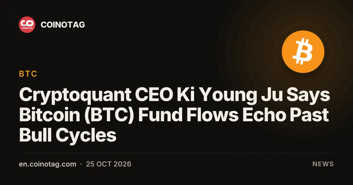 Le PDG de CryptoQuant, Ki Young Ju, estime que les flux de fonds du Bitcoin (BTC) rappellent les précédents cycles haussiers