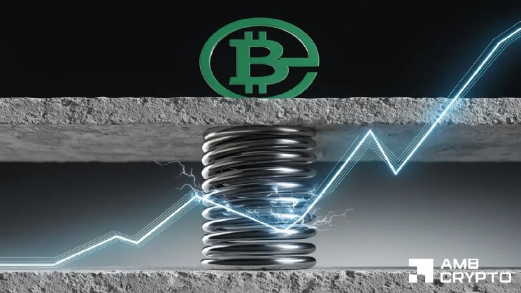 Los clústeres de liquidación de Bitcoin Cash se acumulan sobre el precio mientras los traders reducen el apalancamiento