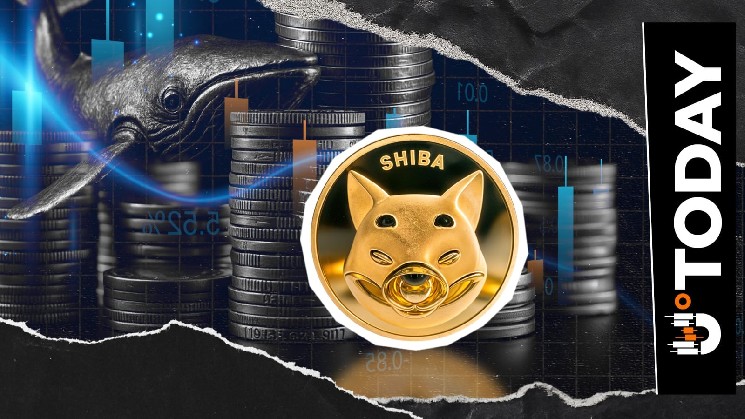 SHIB-Exchange-Nettofluss sinkt um 97 %, da 226 Milliarden Token an Börsen zurückfließen