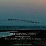 Nasce l'Academy of Intentional Magic, che amplia l'eredità della Poetry Barn in un commons creativo multidisciplinare