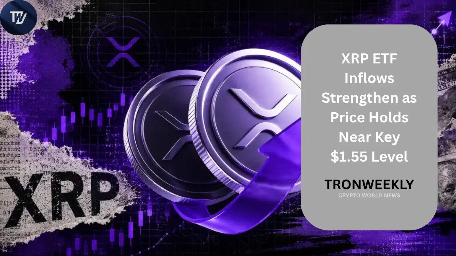 Napływy do ETF-ów na XRP rosną, gdy cena utrzymuje się blisko kluczowego poziomu 1,55 USD