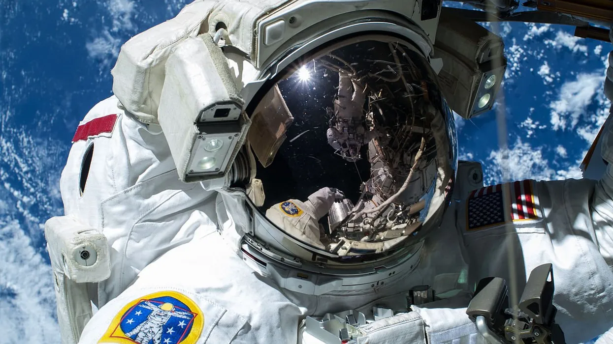 Бывшие астронавты NASA запустили кампанию «Vote for Freedom», ориентированную на молодых избирателей