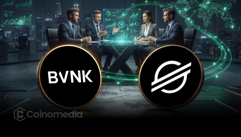 BVNK добавила сеть Stellar для расширения трансграничных платежей в стейблкоинах