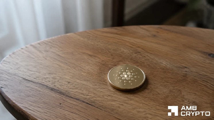 Cardano-Kurs hält sich über 0,21 $, obwohl der DEX-Handelsanstieg abklingt