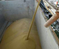 Russia Extends 20% Soybean Export Duty Through August 2028
