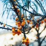Пять ежедневных привычек для укрепления иммунитета в сезон простуд и гриппа